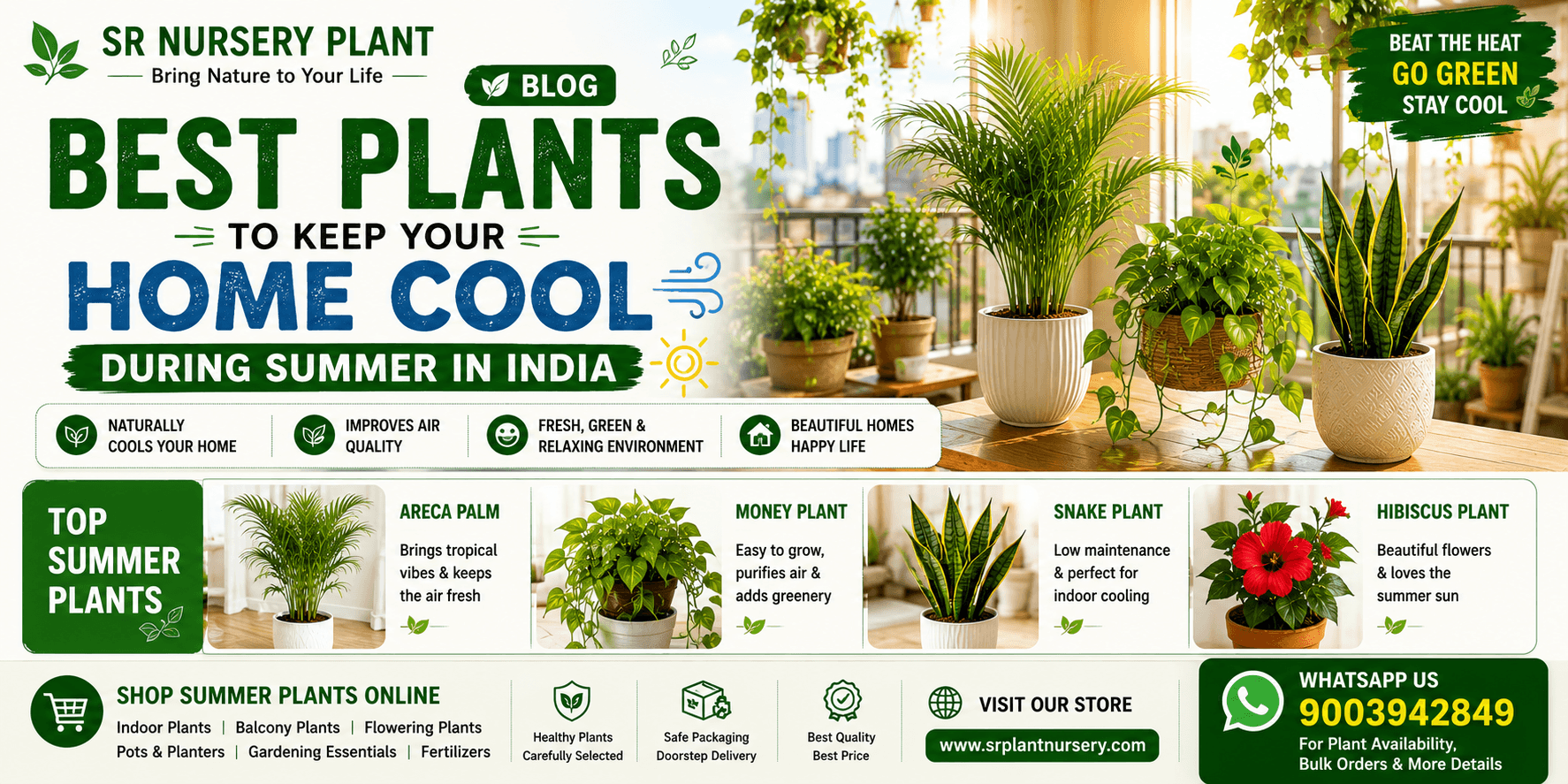 Cultivate Serenity: 5 Plants That Bring Positive Vibes to Your Home