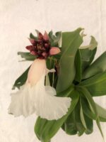 Beneficial  & Excellent Insulin Plant - White flower - Image 2