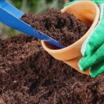 potting mix