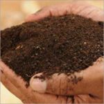 neem cake powder for plants