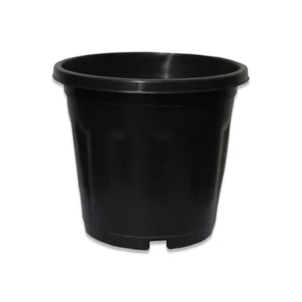 black plant pots