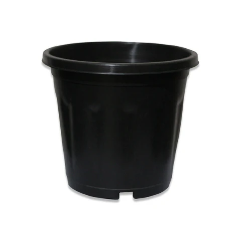 black plant pots