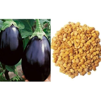 brinjal​
