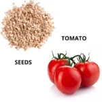 tomato seeds