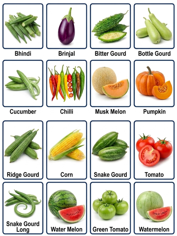 hybrid vegetable seeds​
