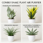 snake plant air purifier